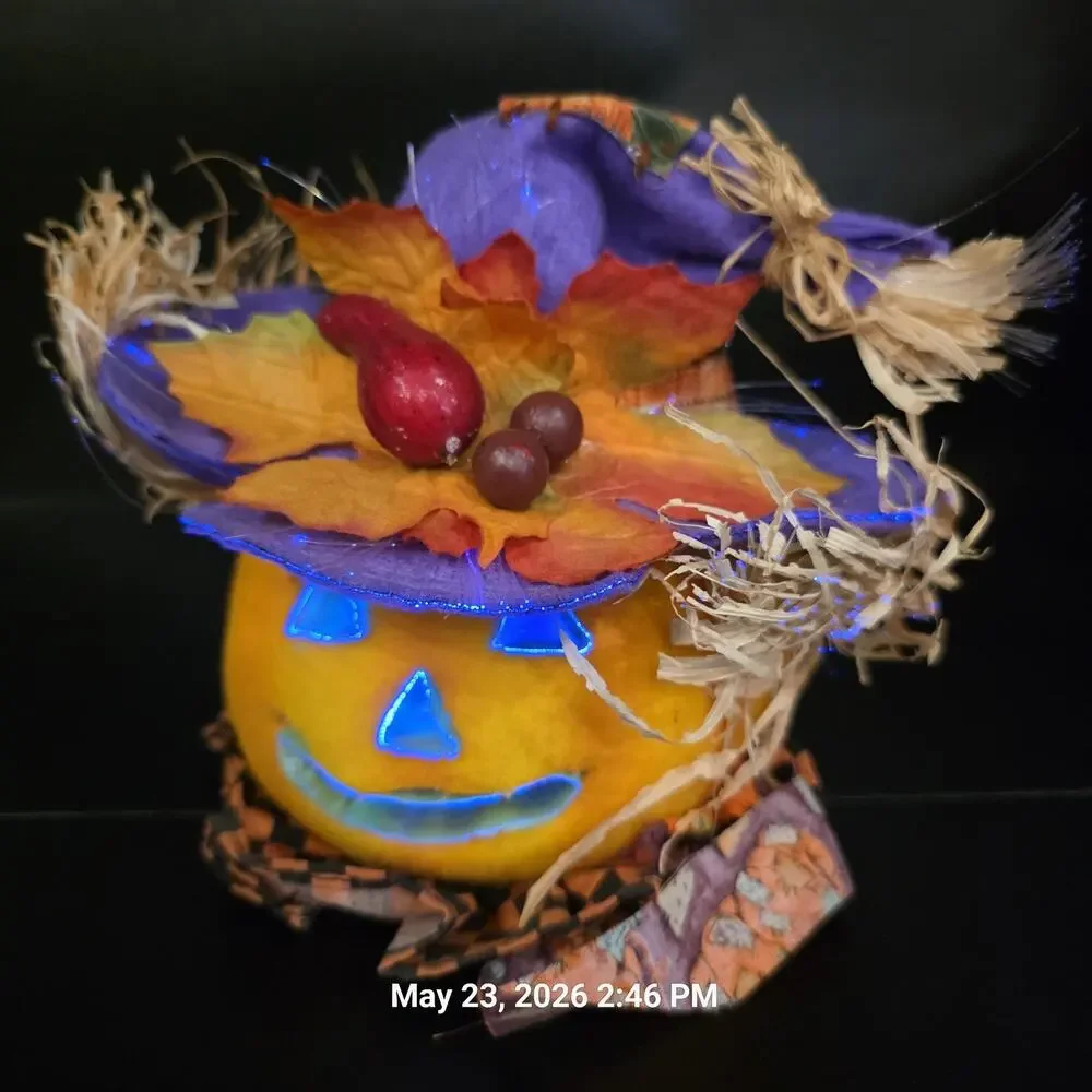 3pc Fiber Optic Halloween Pumpkin Black Cat 8